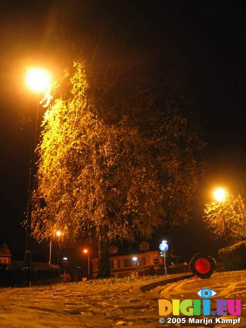 15576 Cone and tree in yellow street light